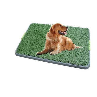 Outdoor & Indoor Dog Potty Grass