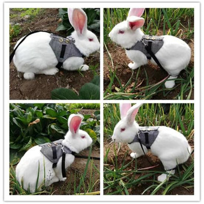 Jacket Bow Harness with Leash