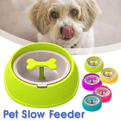 Pet Slow Feeder Bowl