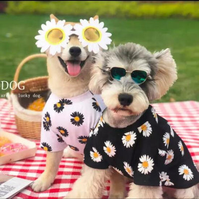 Dog Summer Shirt