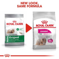Royal Canin® Mini Exigent Fussy Appetite Dry Dog Food