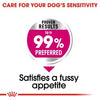 Royal Canin® Mini Exigent Fussy Appetite Dry Dog Food